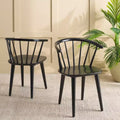 Mandalyn Dining Chair - Set of 2 - DCH8552 - Black - Safavieh