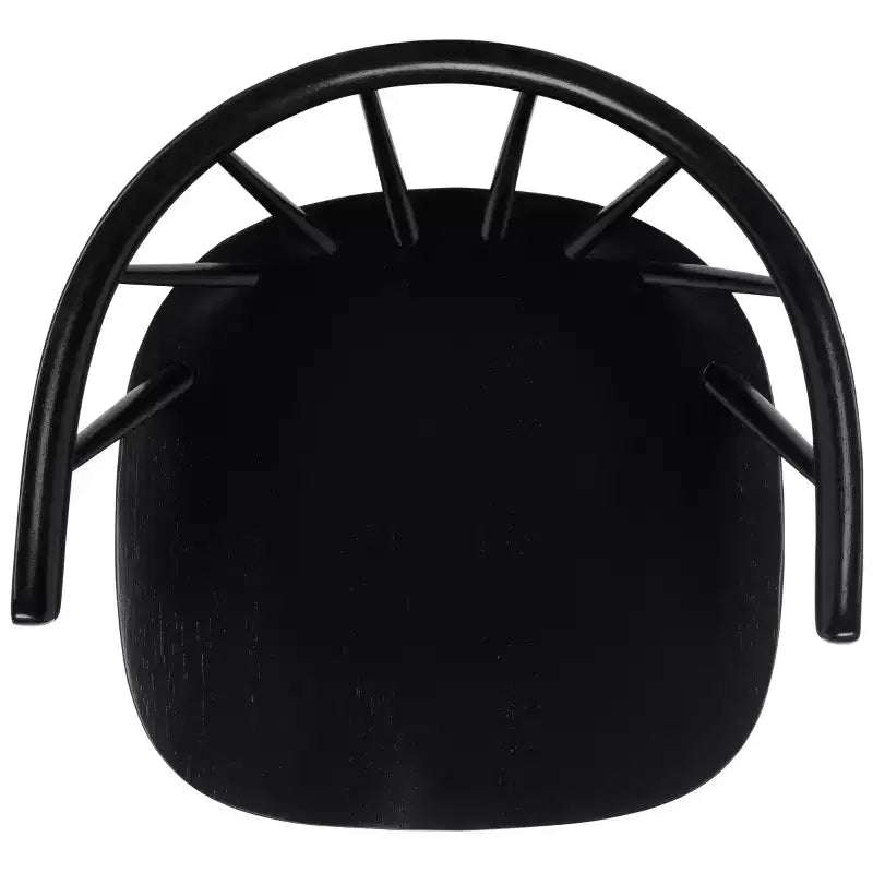 Mandalyn Dining Chair - Set of 2 - DCH8552 - Black - Safavieh