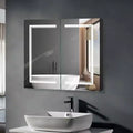 Karl Home Bathroom Wall Cabinet with Mirror